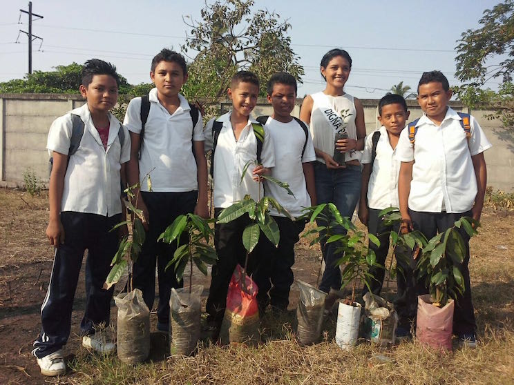 Yo Adopto un &Aacute;rbol